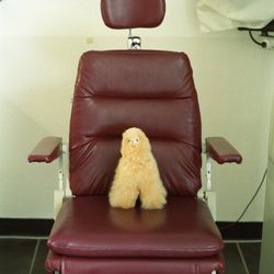 Vivid Optometry