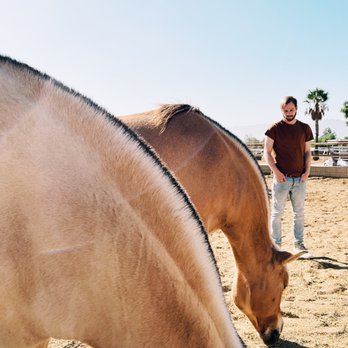 Star Brite Riding Academy - Horseback Riding Near Me - Norco, California Star Brite Riding Academy - Horseback Riding Near Me - Norco, California