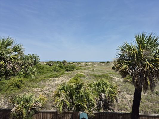 Tybee Island Marine Science Center by null