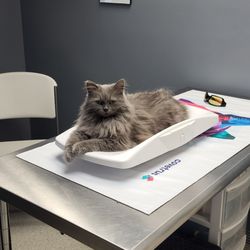Black Earth Veterinary Clinic