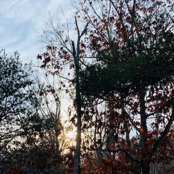 Great Falls Park - Parks Near Me - McLean, Virginia Great Falls Park - Parks Near Me - McLean, Virginia