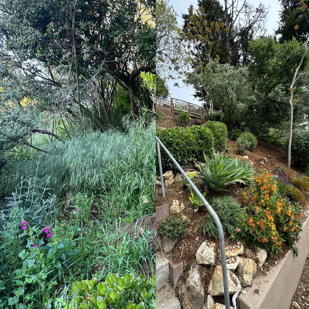 Perfect Landscaping Services - Before and after -- hillside - Landscaping Near Me Perfect Landscaping Services - Before and after -- hillside - Landscaping Near Me