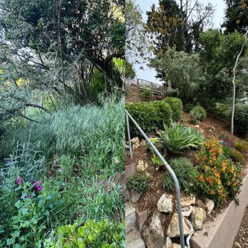 Perfect Landscaping Services - Before and after -- hillside - Landscaping Near Me