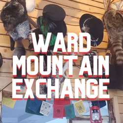 Ward Mountain Exchange