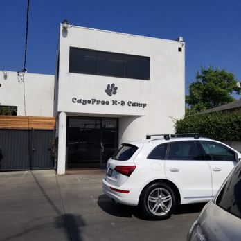 cagefree k9 camp