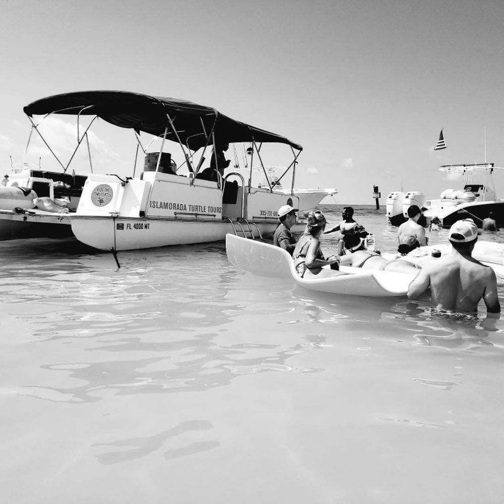 Islamorada Turtle Tours - Boat Tours Near Me - Islamorada, Florida Islamorada Turtle Tours - Boat Tours Near Me - Islamorada, Florida