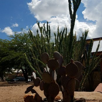 Four Deuces Saloon - Talk about a beautiful landscape - Bars Near Me - Tombstone, Arizona