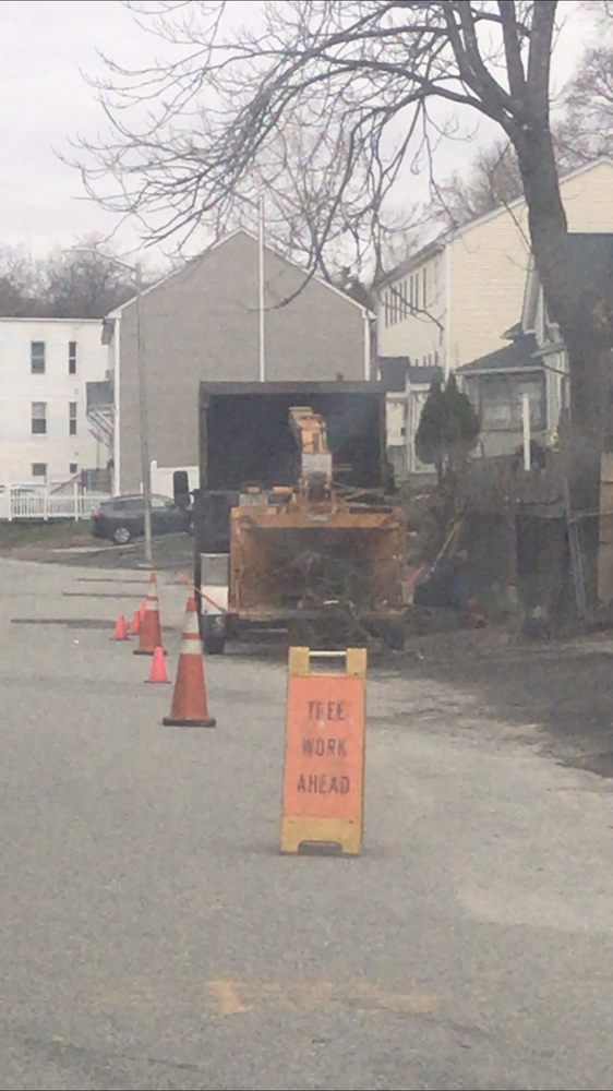 Pro Evolution Remodeling and Tree Service - tree service in Worcester, MA