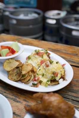 The Sycamore by null