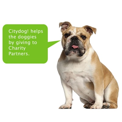 Citydog! Club by null