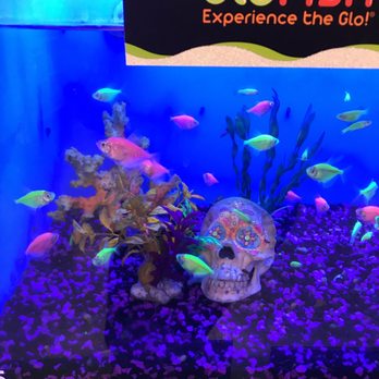 PetSmart - These fish are pretty cool - Pet Stores Near Me - Rancho Cordova, California PetSmart - These fish are pretty cool - Pet Stores Near Me - Rancho Cordova, California