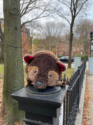 Commonwealth Avenue Mall by null