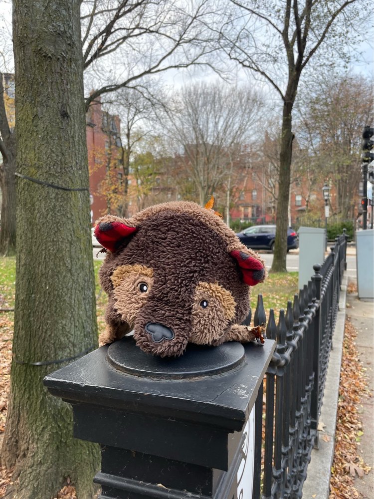 Commonwealth Avenue Mall