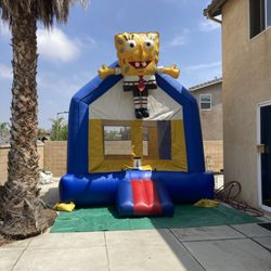 Sponge Bob