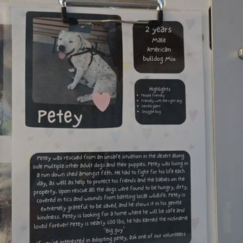 Wrightwood's Littlest Pet Shop - Pet Adoption Near Me - Wrightwood, California Wrightwood's Littlest Pet Shop - Pet Adoption Near Me - Wrightwood, California