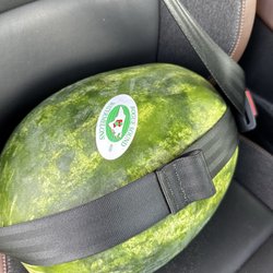 Guthrie Farm - Watermelon