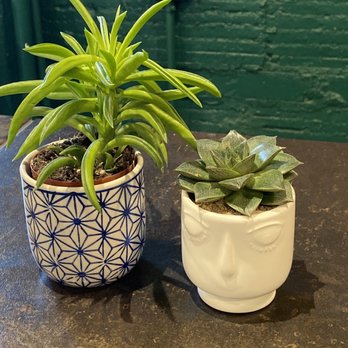 Stem & Stone - Flowers & Gifts Near Me - Birmingham, Michigan