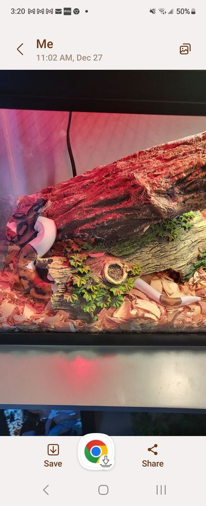 Josh's Pet Agree Image