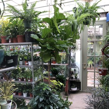 Clement Nursery - Nurseries & Gardening Near Me - San Francisco, California