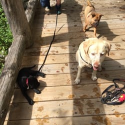 Leon Gorman Park