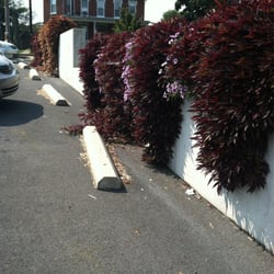 Butcher's Farm Market - This is how they decorate the parking lot!