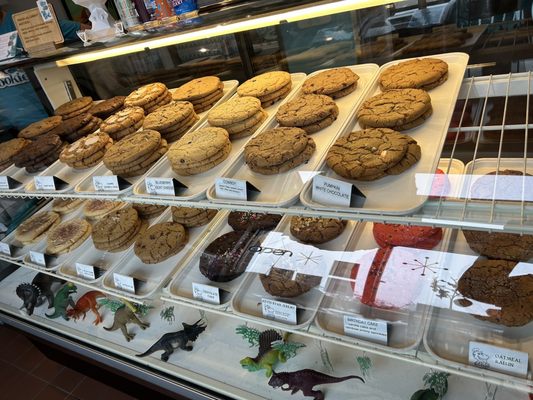 T-Rex Cookie Company by null