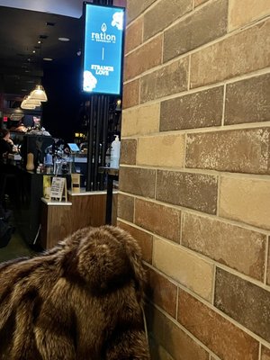 Ration | Beverley by null