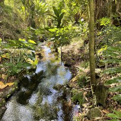 Makiki Valley Trail