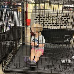 My child who wanted to get into one of the dog kennels.