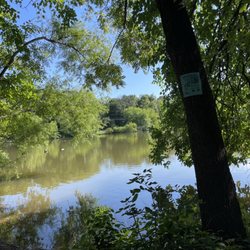Demott Park - August 2026