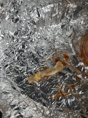 Rivas Mexican Grill #10 by null