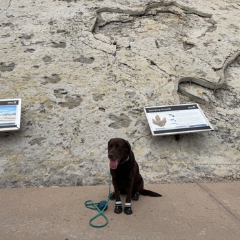 Dinosaur Ridge - Museums Near Me - Morrison, Colorado