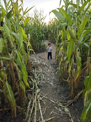 Bella Organic Farm by null