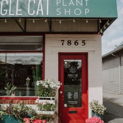 Jungle Cat Plant Shop