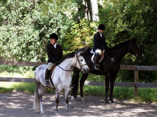 Blackhawk Equestrian Logo