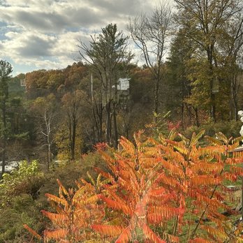 Gracie's Luncheonette - Seat with a view - American Near Me - Leeds, New York