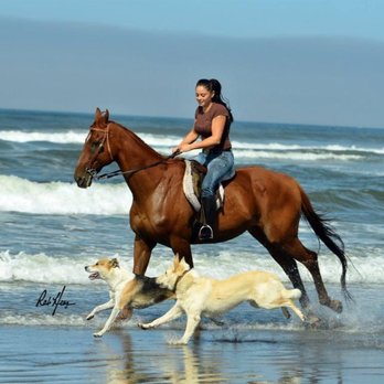 Double Flush Stables - Christie (owner/trailboss ) with my very best horse shanty Irish. 1994-2017. - Horseback Riding Near Me - Davie, Florida Double Flush Stables - Christie (owner/trailboss ) with my very best horse shanty Irish. 1994-2017. - Horseback Riding Near Me - Davie, Florida