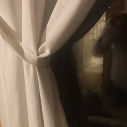 Colorado Cottages - Gnats on curtains.