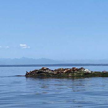 Salt Spring Adventure - Rafting/Kayaking Near Me Salt Spring Adventure - Rafting/Kayaking Near Me