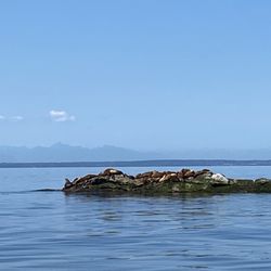 Salt Spring Adventure