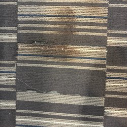 Microtel Inn & Suites by Wyndham Mankato - Really disgusting carpet. Looks like someone pooped here