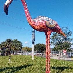 Amelia Earhart Final Take Off - One of many of Hialeahs flamingoes