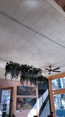 temos coffee by null