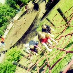 Cavehill Adventurous Playground - courtesy of website