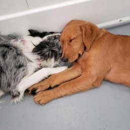 Picture of my girls napping together at daycare that they texted me one day !