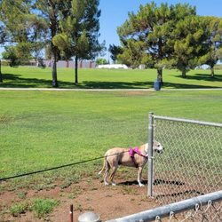 Greenfield Park - Dutchess loves horseshoes