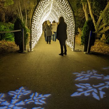 Lightscape San Diego - Botanical Gardens Near Me - Encinitas, California