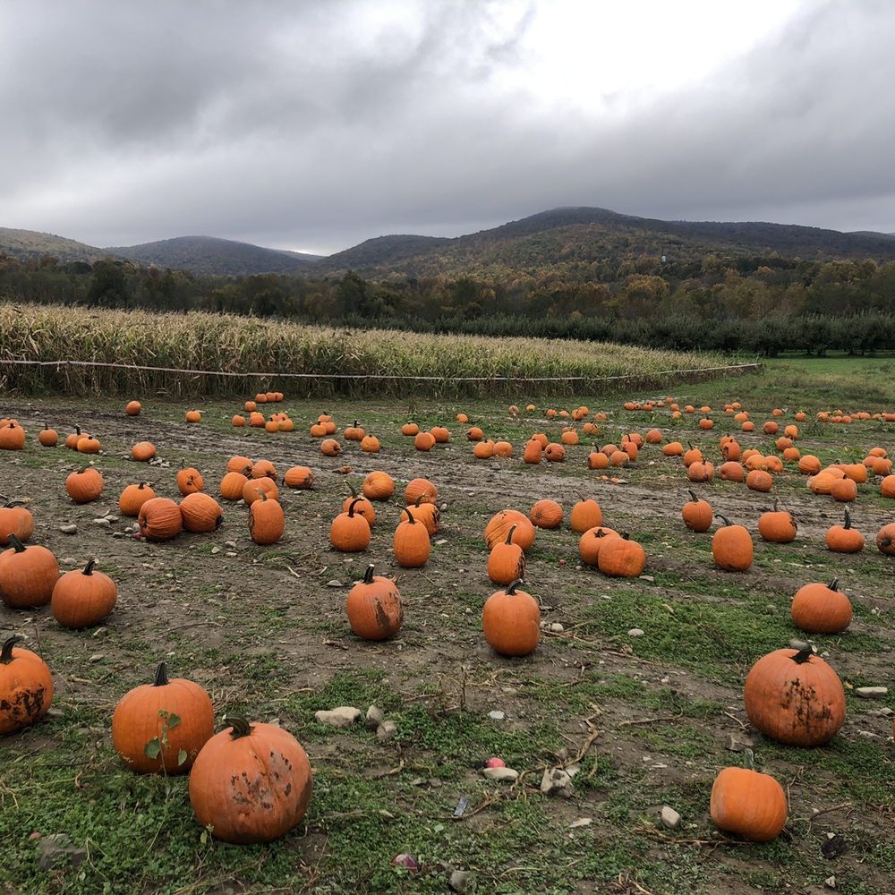 Fishkill Farms - Farmers Market Near Me - Hopewell Junction, New York