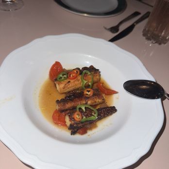 Contessa Miami - Octopus Agrodolce - Italian Near Me - Miami, Florida Contessa Miami - Octopus Agrodolce - Italian Near Me - Miami, Florida