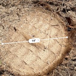 Expert Stump Removal